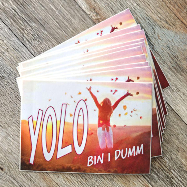YOLO bin i dumm - Stickers 10x